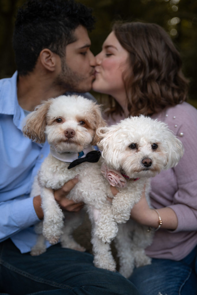 Engagement session with dogs by Klem Photography Nashville Wedding Photographer